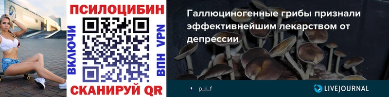 Галлюциногенные грибы мухоморы  как найти закладки  Железногорск-Илимский 
